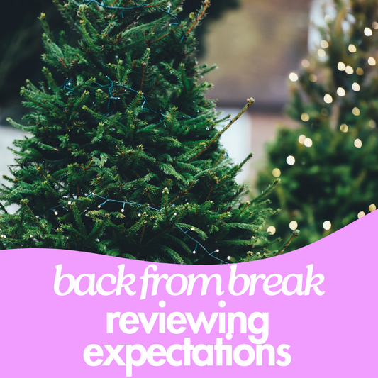 Reinforcing Rules in your Primary Classroom Back from Winter Break