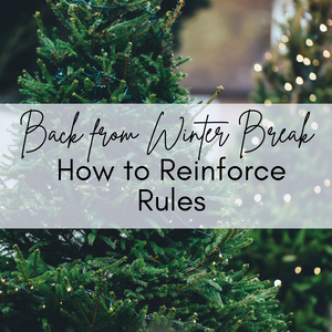 Reinforcing Rules in your Primary Classroom Back from Winter Break